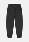 JDB MJ BRKLN FLC PANT 95F113-G0T