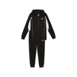 PUMA SPORT HOODED FZ SWEAT M 688177-01