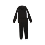PUMA SPORT HOODED FZ SWEAT M 688177-01