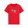 T-SHIRT ACM K 779316-09