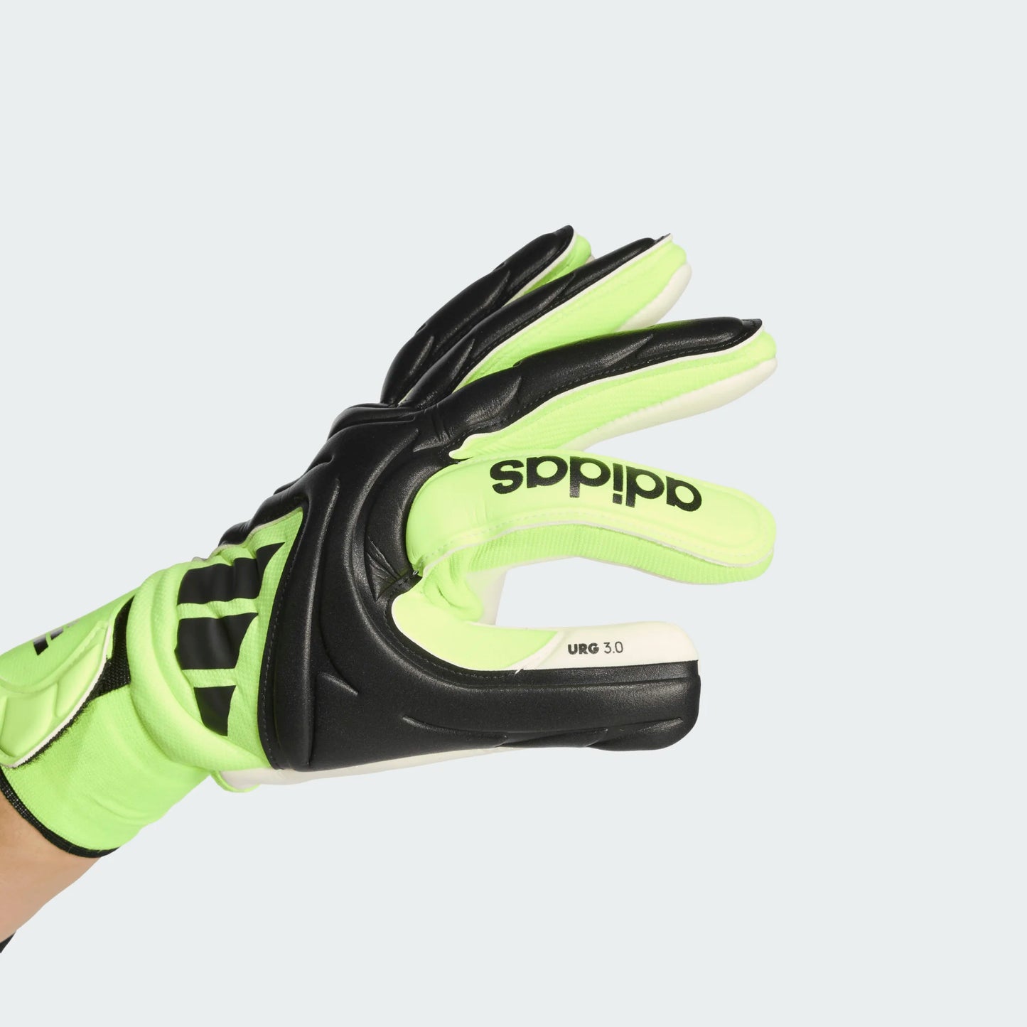 ADIDAS GUANTO PORTIERE JN5344