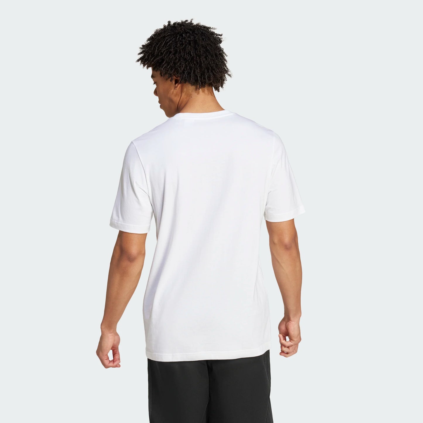ADIDAS T SHIRT JUVENTUS MC IN5599