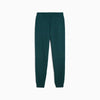 ESS TAPE SWEATPANTS M 684679-75