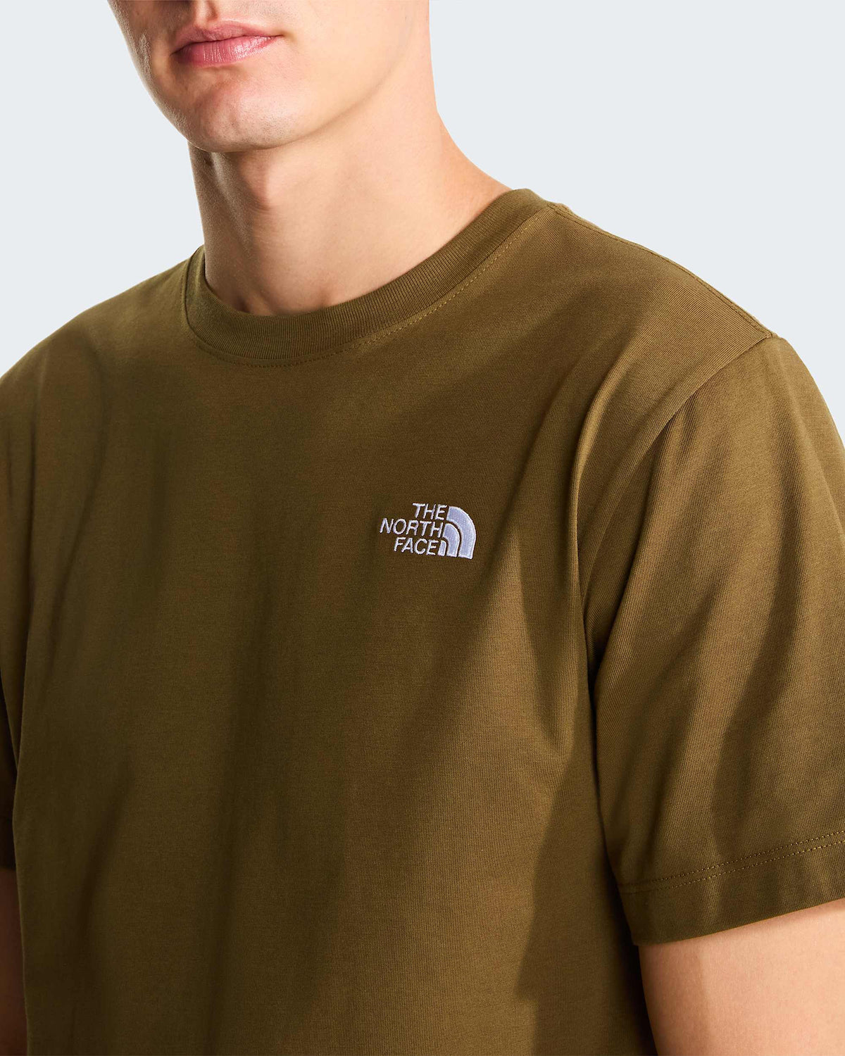 THE NORTH FACE  T SHIRT LOGOWEAR A8CZ2-2EK1
